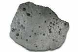 Plate of + Red Embers Garnets in Graphite - Massachusetts #375772-1